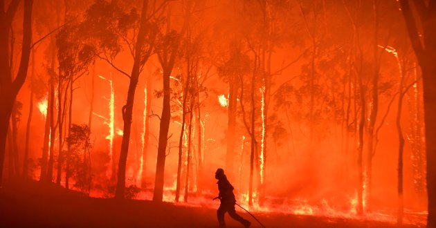 State of emergency declared as bushfires rage in Australia