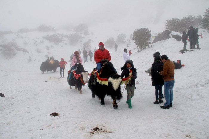 1,500 tourists stranded in Sikkim rescued