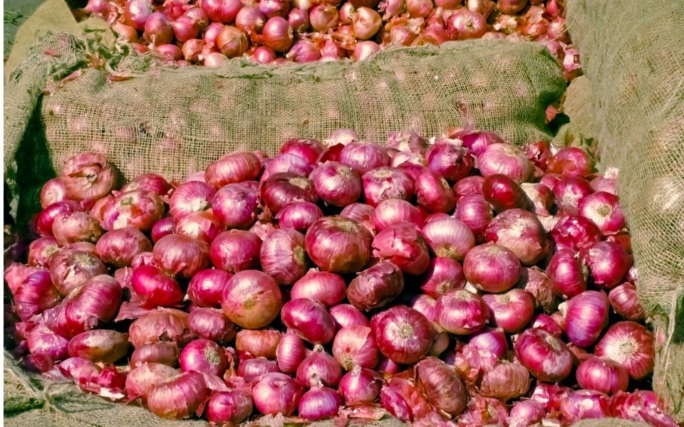 MMTC importing onions to meet demand: MoS Consumer Affairs