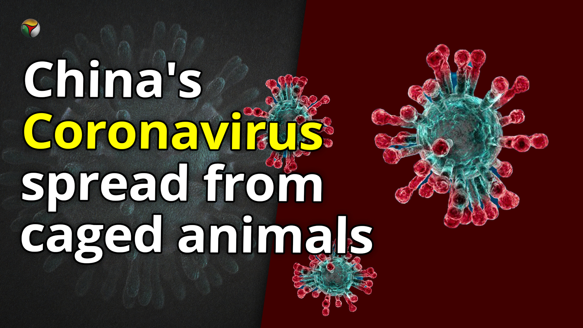 Chinas Coronavirus spread from caged animals, is difficult to detect