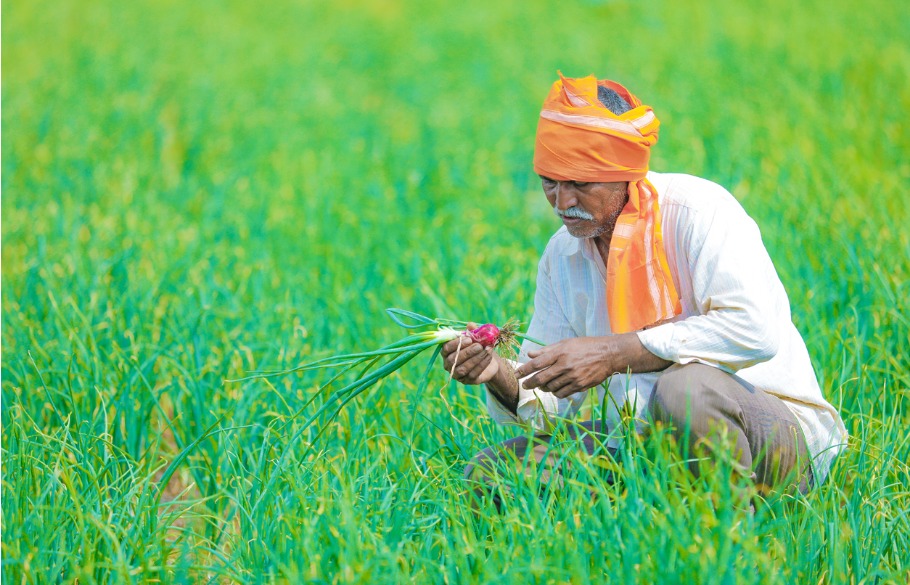 Centre’s new law liberalising agri-trading boosts online platforms