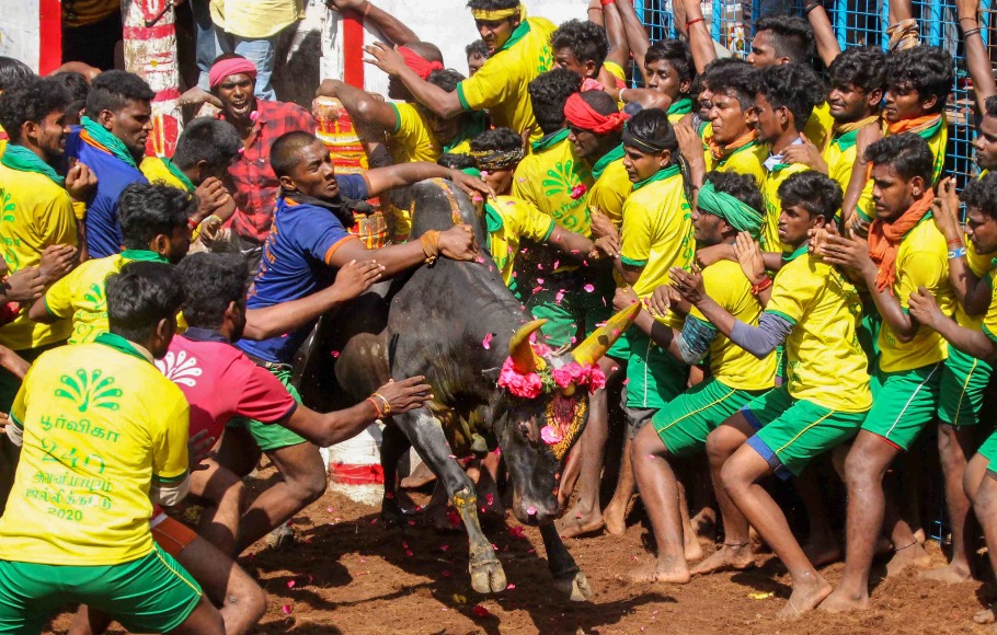 Bull tamer gored to death at Madurai Jallikattu event