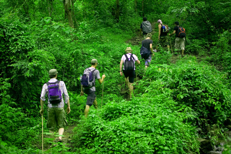 In TN, forest trails turn death traps as trekkers flout safety norms