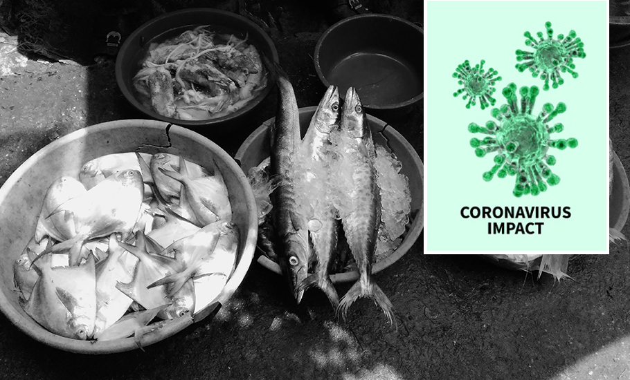 Kerala fishers on rough seas as coronavirus outbreak hits exports