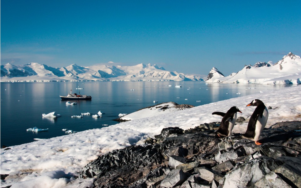New heat record: Antarctica at 18.3°C is warmer than Ooty