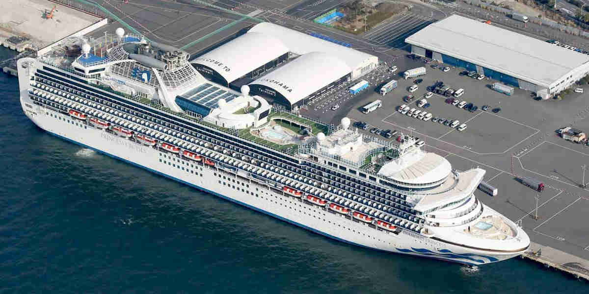 Indians onboard cruise ship in Japan to be brought back on chartered flight