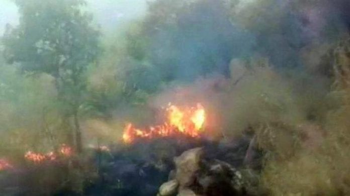 TN forest fire forest fire, COVID-19, lockdown, coronavirus, seal borders
