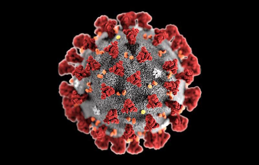 Scientists find multiple mutations, unique proteins in SARS-CoV-2 genome