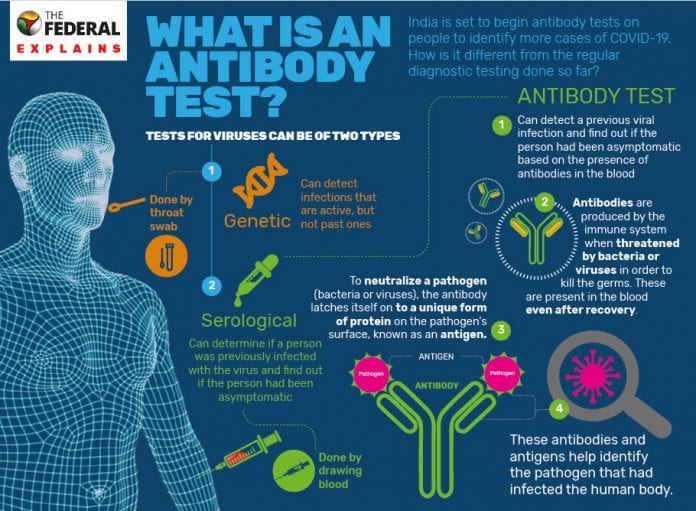 Explained What is antibody test for COVID19 and why is it important?