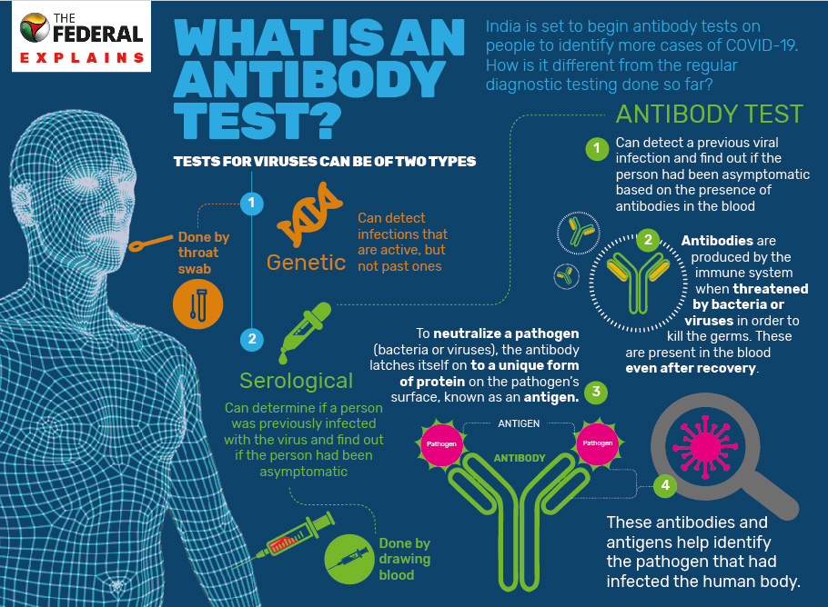 rapid antibody test kit, coronavirus, COVID-19, 