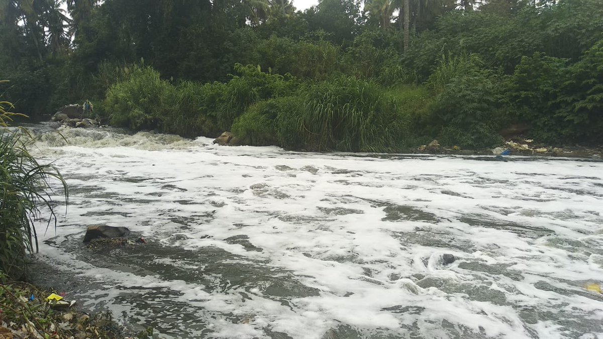 Bengalurus only river turns cleaner amid COVID-19 lockdown