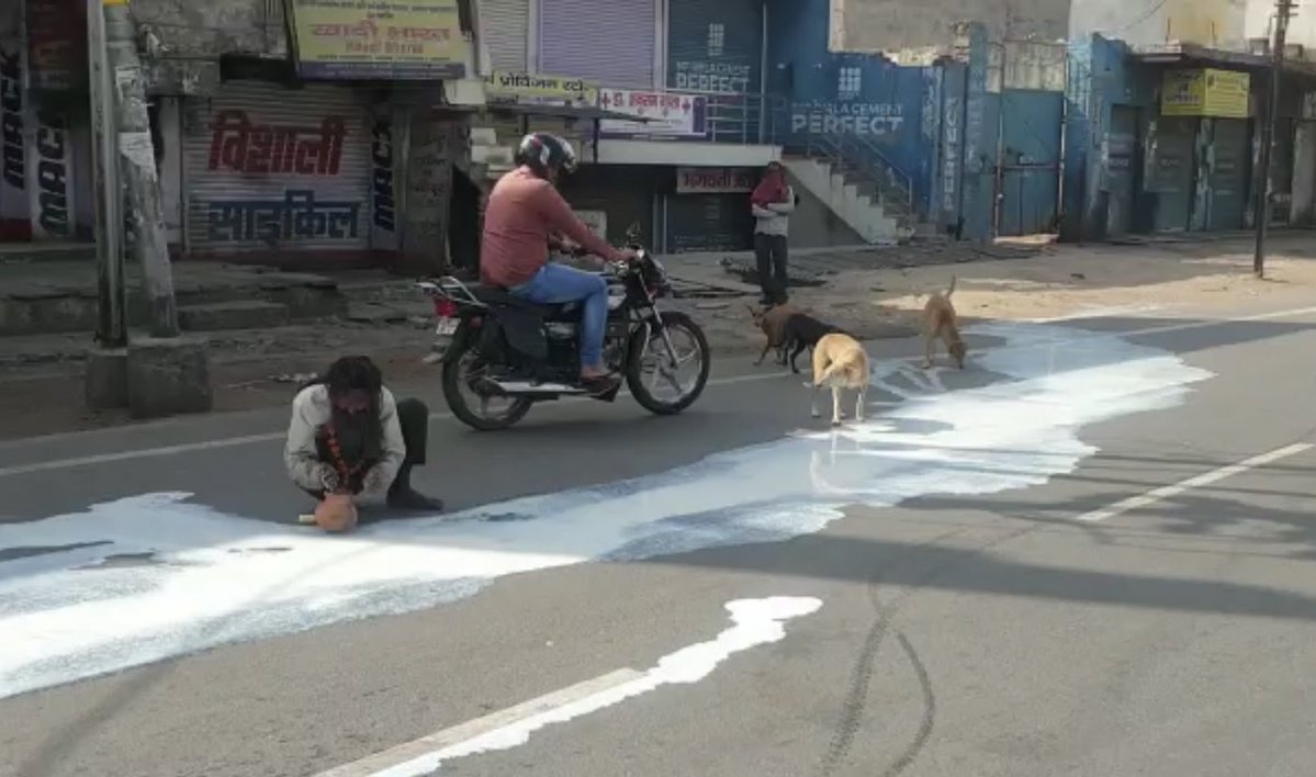 COVID pangs: Stream of spilt milk connects a man, stray dogs
