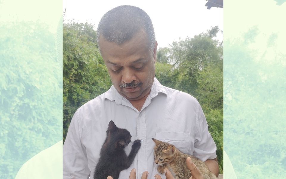 Kerala man moves High Court to feed his cats amid lockdown