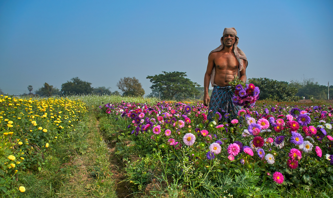 Bengal, rural industry, florists