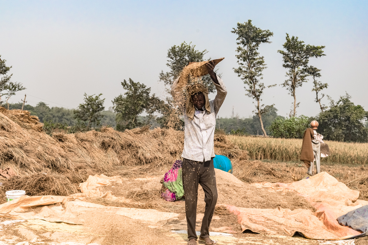 Fearing crop loss, Bihar landlords resort to violence to ensure harvest