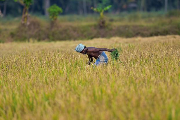 Karnataka farmers in distress over shutdown impact on supply-chain