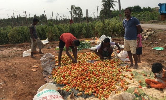 No crops if lockdown extended: Karnataka farmers wary of distress ...