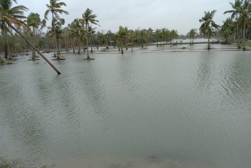 Cuddalore experience shows TN govt ill-prepared to handle Cyclone Nivar