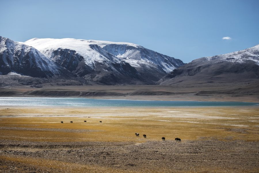 Ladakh face off: China moves in 5,000 more troops along LAC