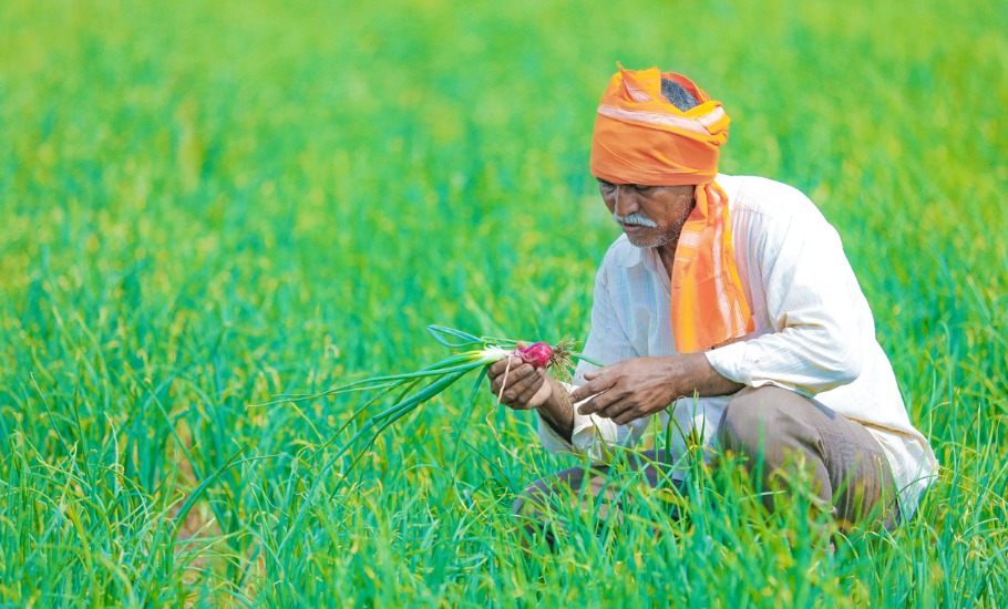 India’s agri exports cross $50 bn in Covid-hit year; rice is top forex earner