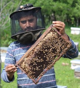 Beekeeping