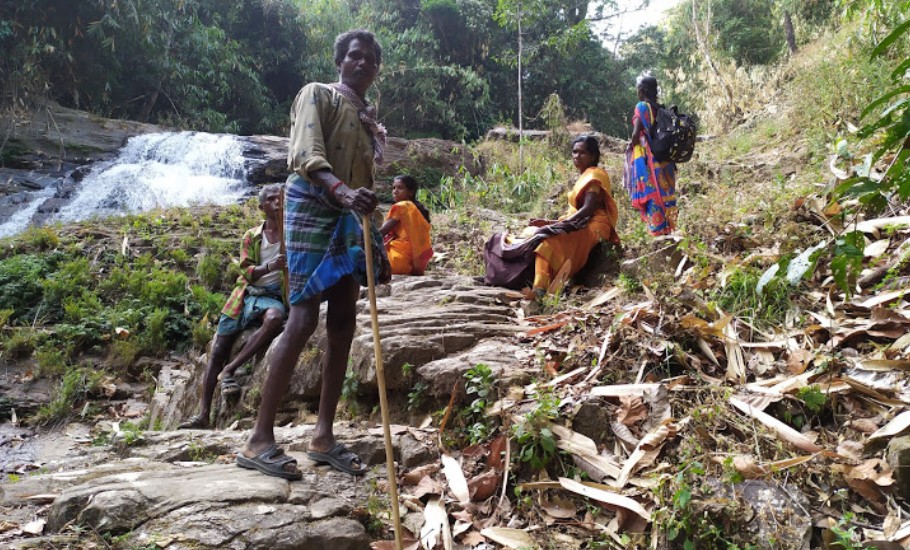 How lockdown has hit tribal communities and forest dwellers