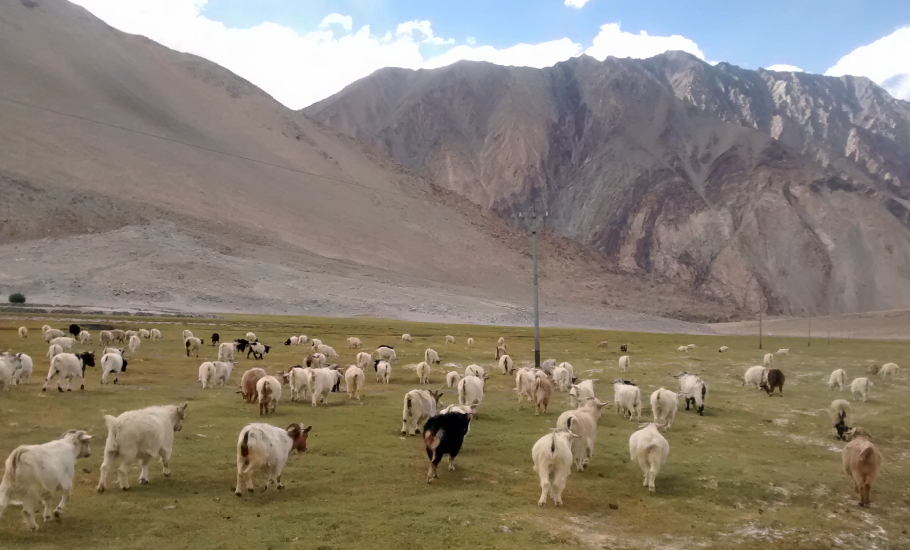 Chinese Ladakh
