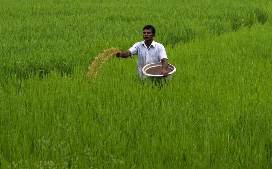 AIADMK members, officials infringe on rights of panchayat presidents in TN