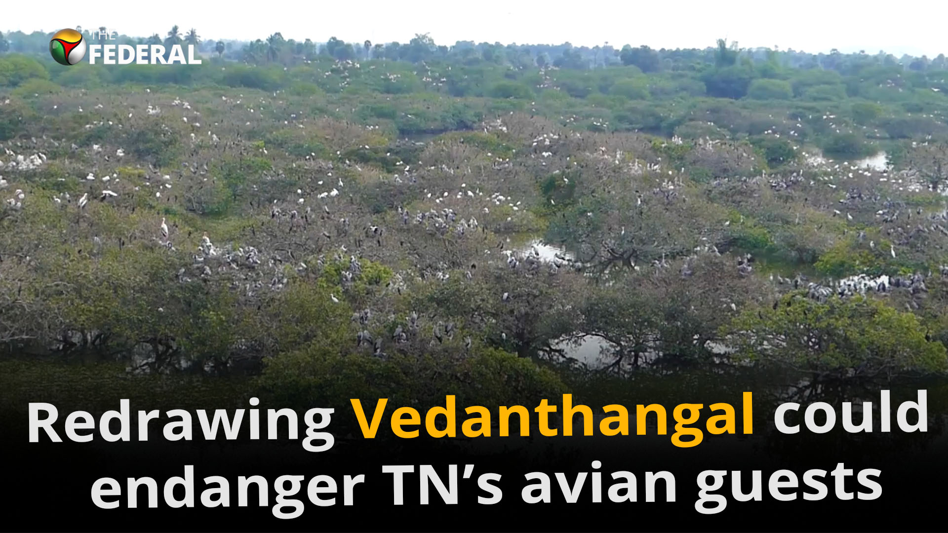 Why redrawing Vedanthangal could endanger TN’s avian guests