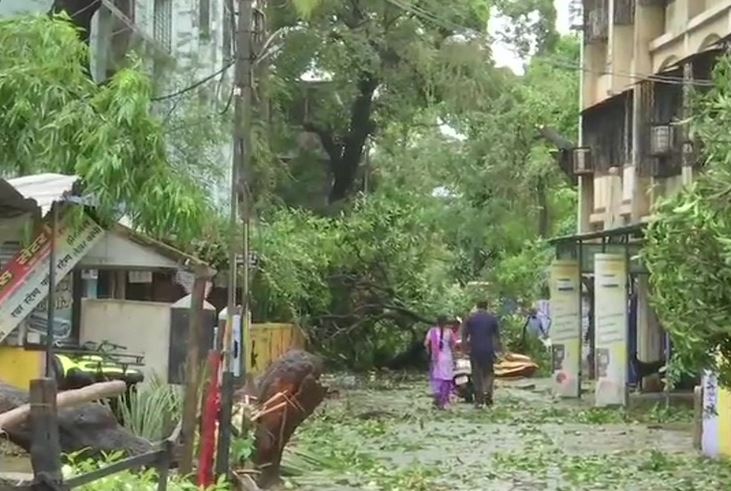 Maharashtra electricity board reports ₹1.25 cr loss due to cyclone Nisarga