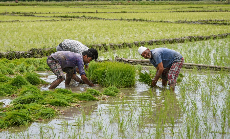 Monsoon onset projects strong outlook for Kharif crops this year