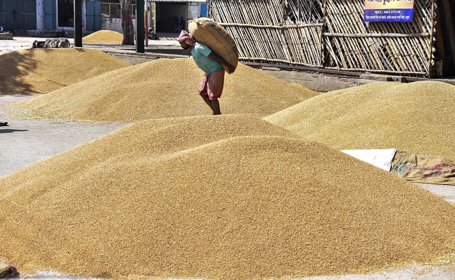 Cabinet approves distribution of free food grains to poor until November