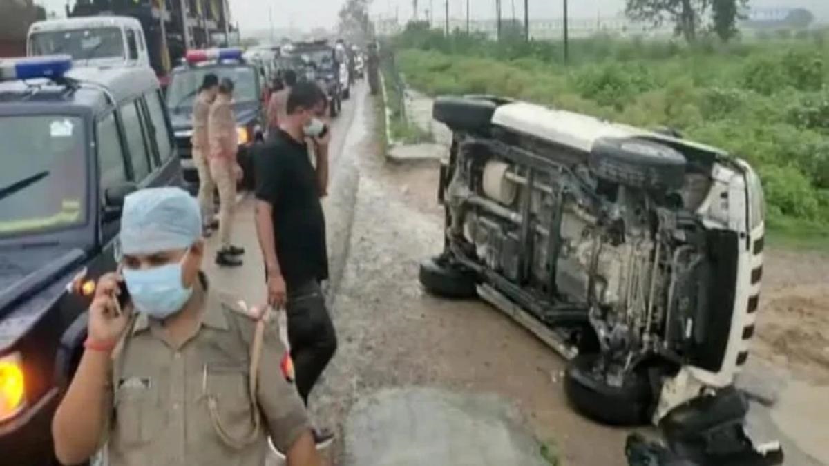 Dubey encounter: Task Force says car overturned when driver tried to avoid cattle