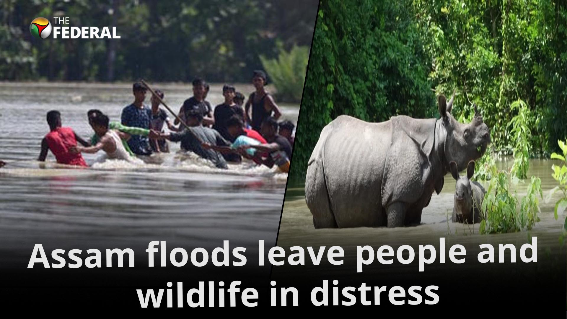 COVID, Japanese Encephalitis and now floods: What Assam battles