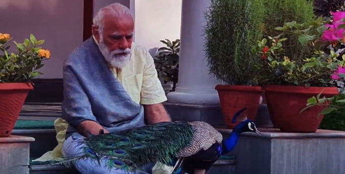 Modi gives Twitter a peek into precious moments with his winged friends