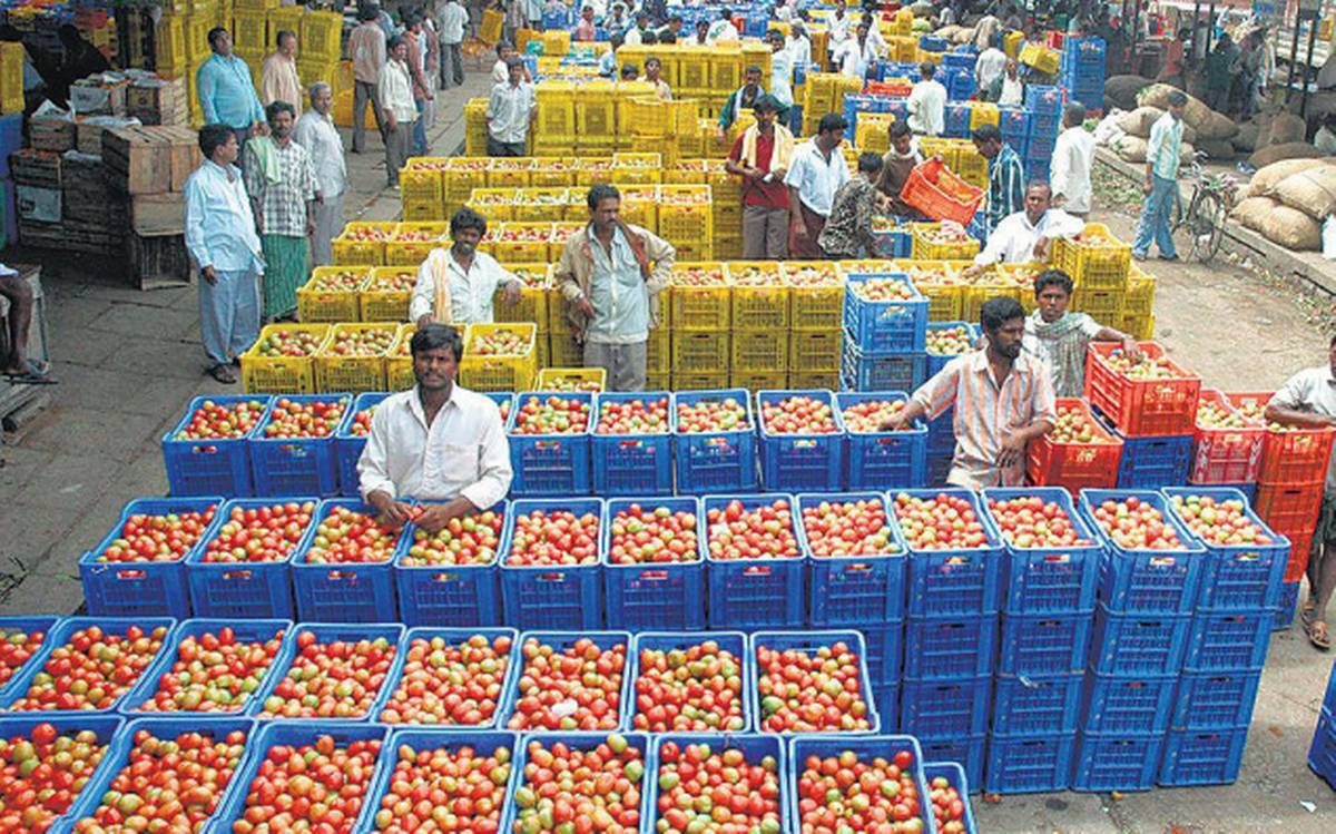 Agri-market reforms positive, says analyst G.Chandrashekhar