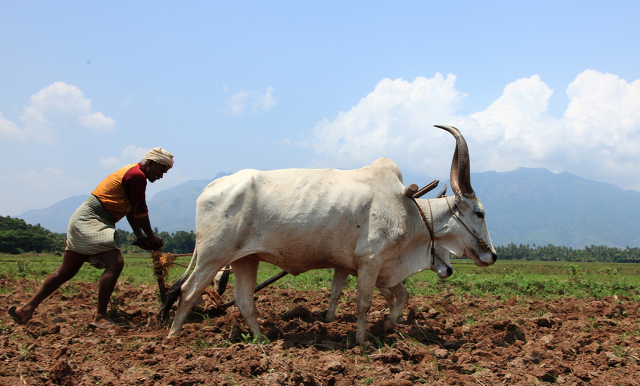 MSP will stay, farmers to get investment: Govt on farm sector bills