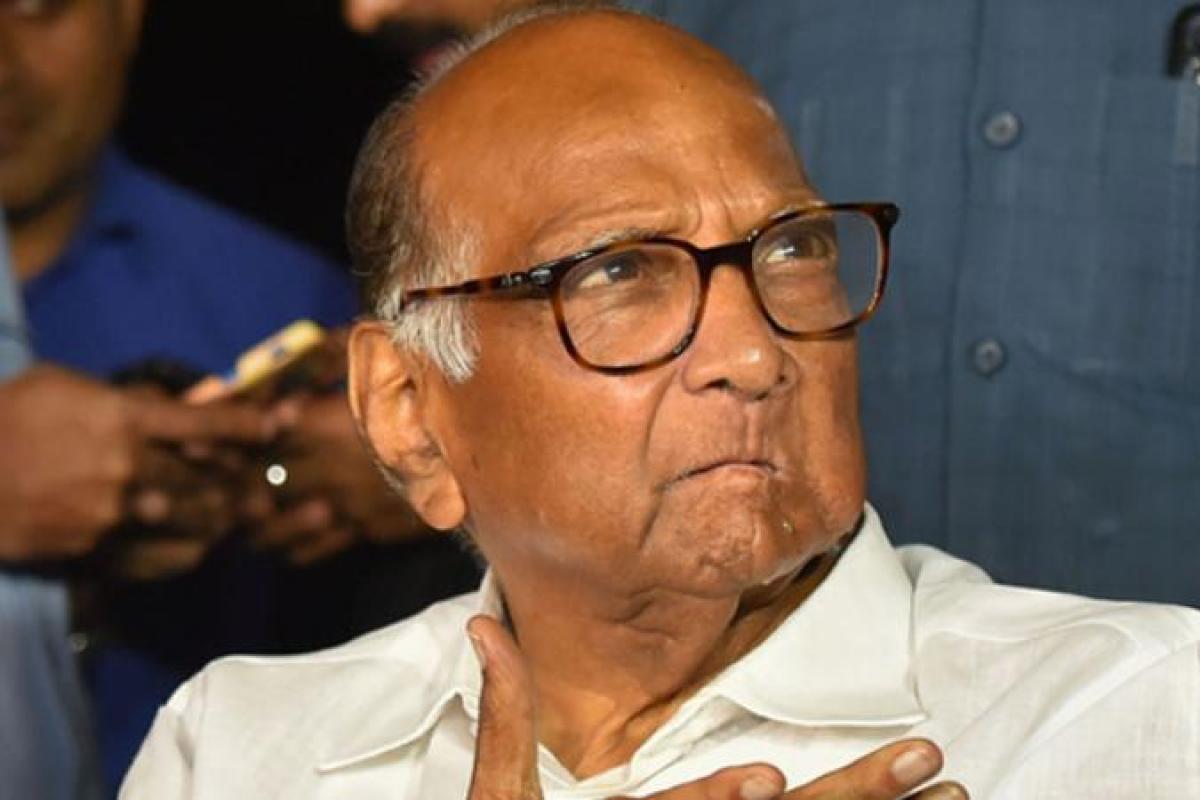 Sharad Pawar urges Centre to rethink ban on export of onions