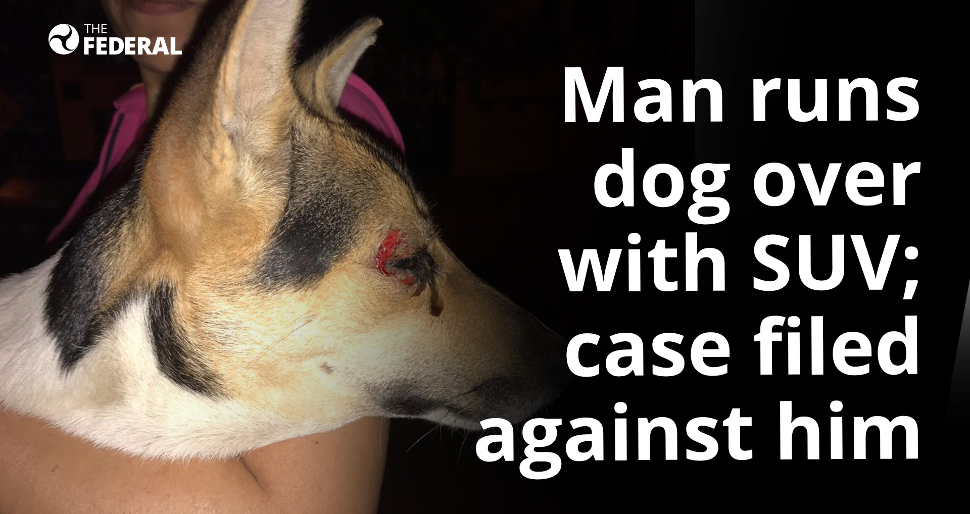 Man runs dog over with SUV; case filed against him