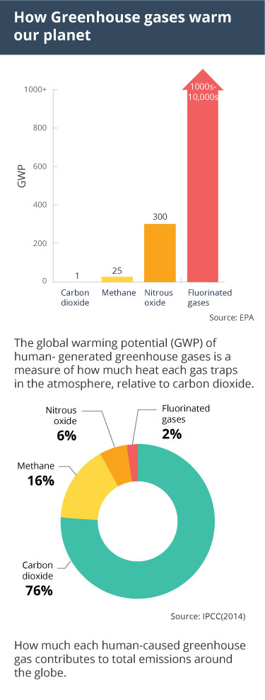 India Needs Better Greenhouse Gases Emission Control Strategies The Federal