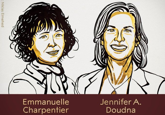 Chemistry Nobel awarded to Emmanuelle Charpentier, Jennifer A Doudna