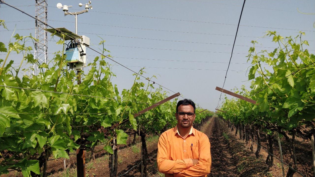 Nashik grape farmer weeds out weather vagaries with forecast station, sensors