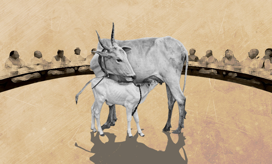 After giving India its first cattle sanctuary, MP to form cow cabinet