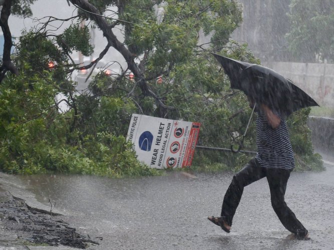 Nivar to cross coast by tonight or wee hours tomorrow; rage at 145 kmph