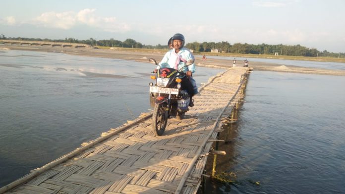 ambelence dada1