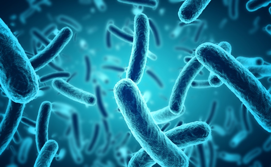Antibiotic-resistant typhoid strains rising, shows new research