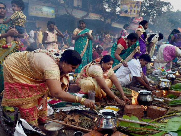 Should Pongal be celebrated as Tamil New Year? Scholars weigh in