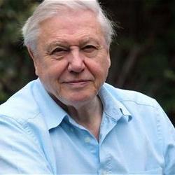 Shun meat, go vegetarian if you want to save the planet: Sir David Attenborough