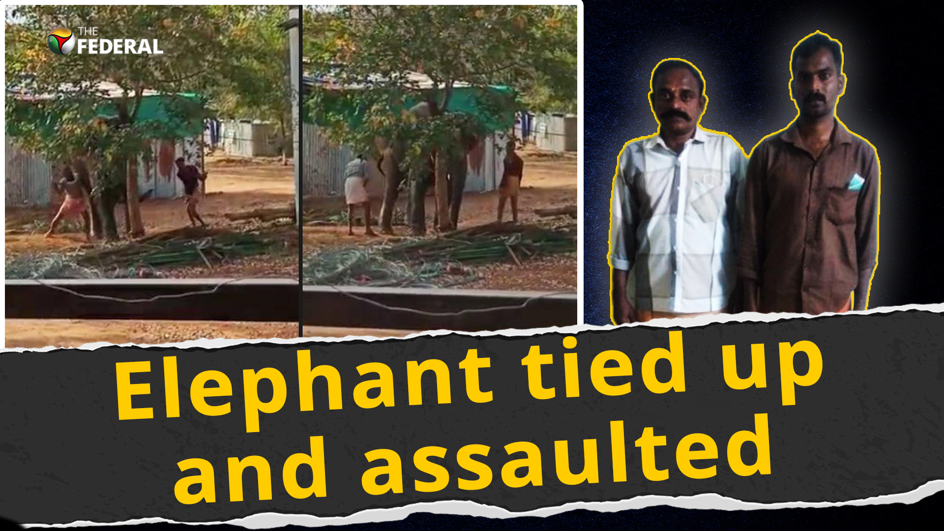 2 arrested for brutally assaulting captive elephant