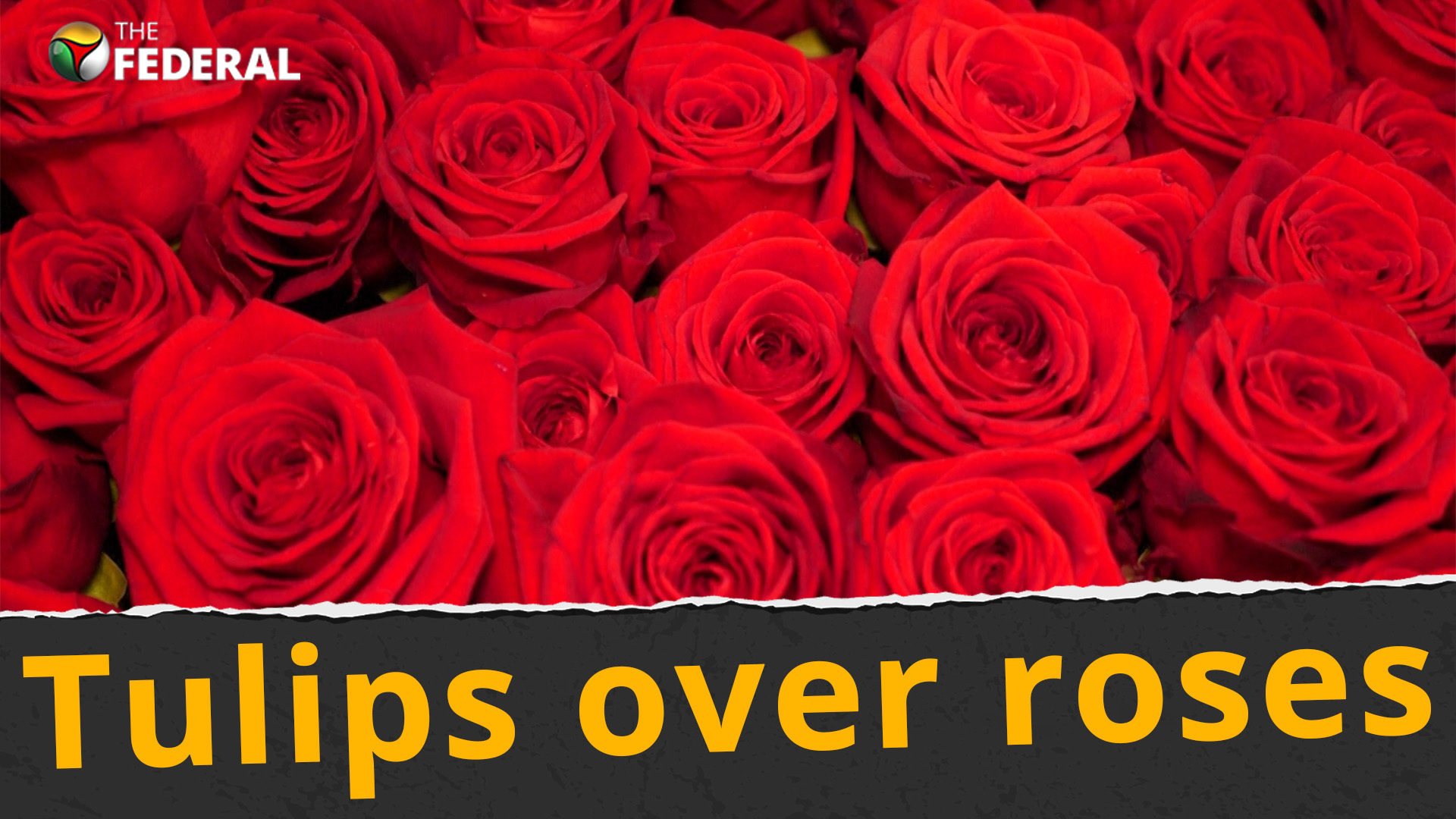 Red roses for Valentines Day? Florists call it ecological nonsense